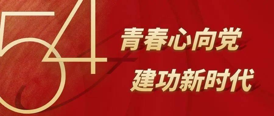 雨后盛放